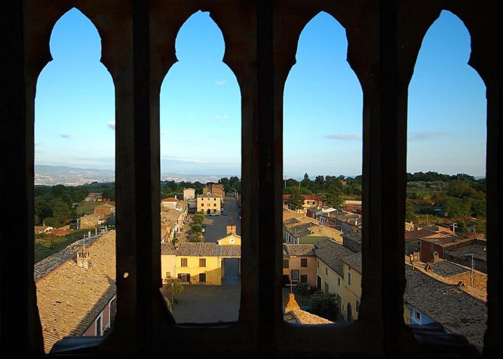 Green House - Blue House Civitella d'Agliano Room photo