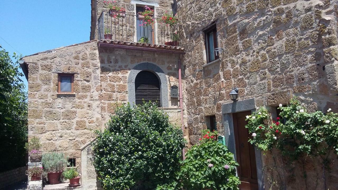 Green House - Blue House Civitella d'Agliano Exterior photo