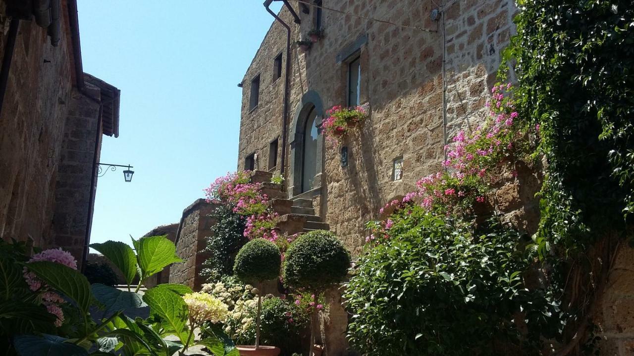 Green House - Blue House Civitella d'Agliano Exterior photo